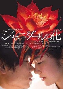 yunocos69视图合集 [1068P+32V2.39G]